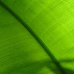 images (1) images (1)